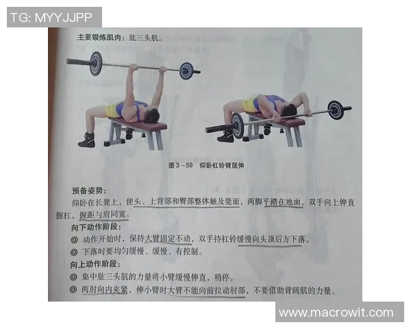 全面解析哑铃动作图解助你打造完美身材的训练指南