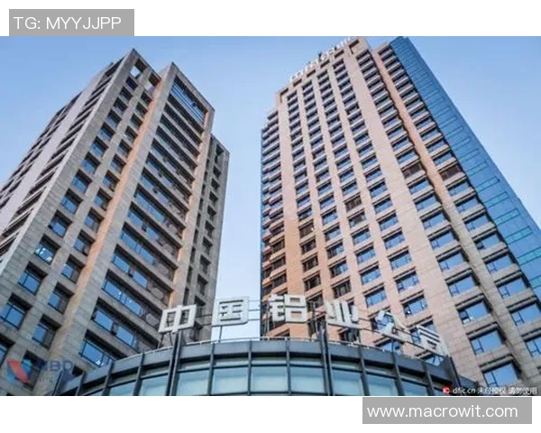 如何成功经营体育活动俱乐部加盟提升市场竞争力与会员满意度的策略分析