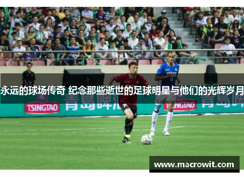 永远的球场传奇 纪念那些逝世的足球明星与他们的光辉岁月