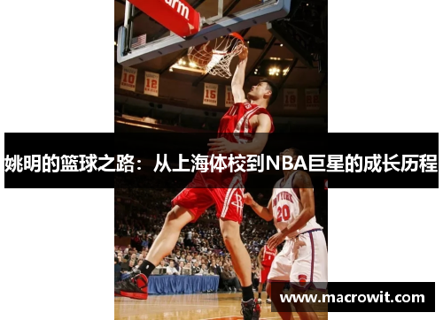 姚明的篮球之路：从上海体校到NBA巨星的成长历程
