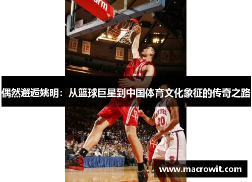 偶然邂逅姚明：从篮球巨星到中国体育文化象征的传奇之路