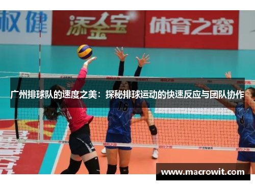 广州排球队的速度之美：探秘排球运动的快速反应与团队协作