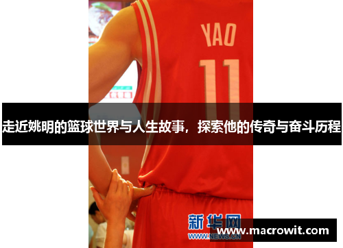 走近姚明的篮球世界与人生故事，探索他的传奇与奋斗历程