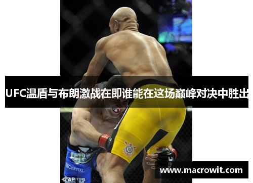 UFC温盾与布朗激战在即谁能在这场巅峰对决中胜出