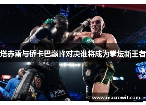 塔赤雷与侨卡巴巅峰对决谁将成为拳坛新王者