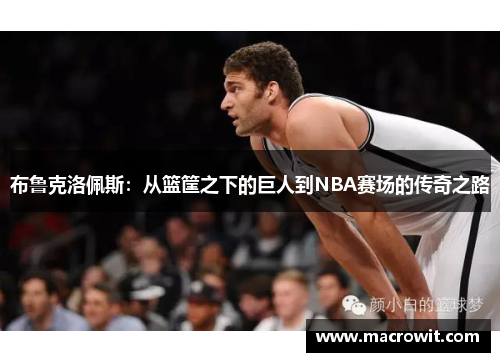 布鲁克洛佩斯：从篮筐之下的巨人到NBA赛场的传奇之路