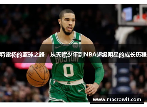 特雷杨的篮球之路：从天赋少年到NBA超级明星的成长历程