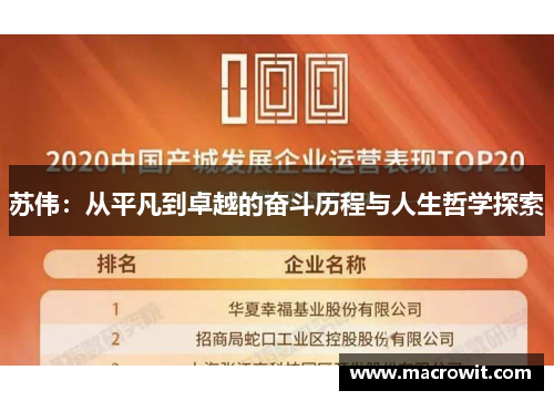 苏伟：从平凡到卓越的奋斗历程与人生哲学探索